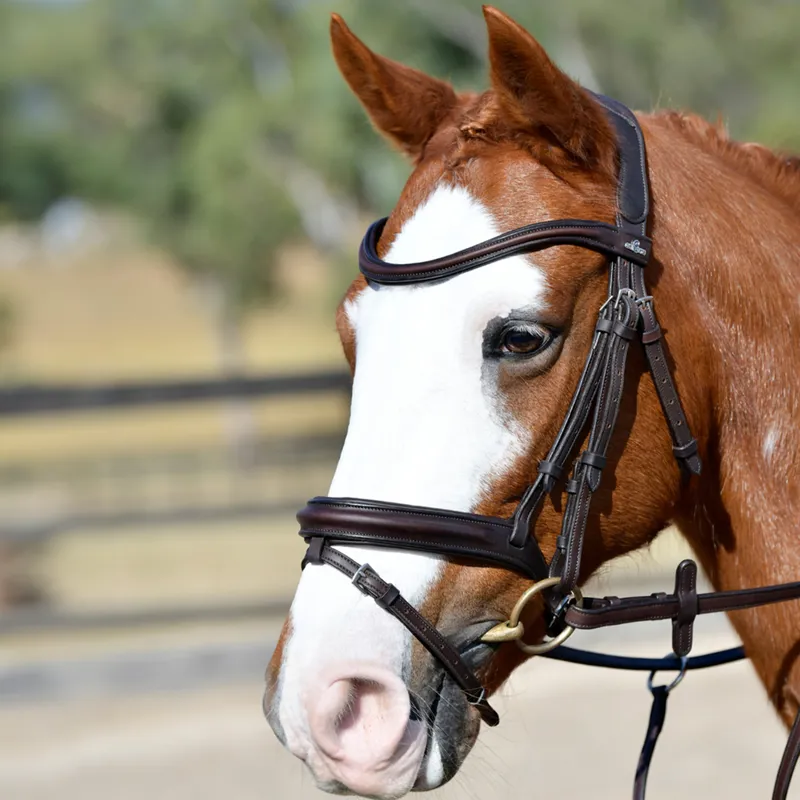 Collegiate ComFiTec Opulux Padded Hanoverian Flash Bridle - Brown-2
