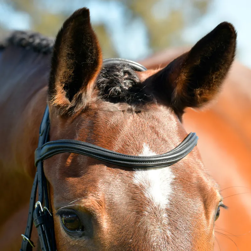 Collegiate ComFiTec Opulux Padded Hanoverian Flash Bridle - Brown-1