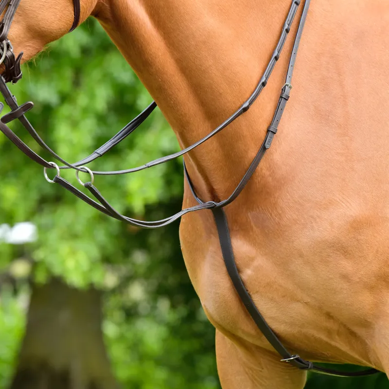 Collegiate ComFiTec Opulux Plain Flat Running Martingale - Dark Brown