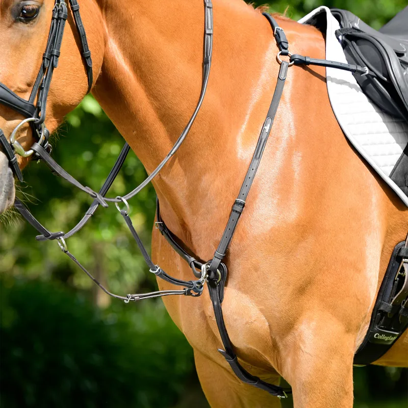 Collegiate ComFiTec Opulux 3-Point Padded Raised Breastplate - Black