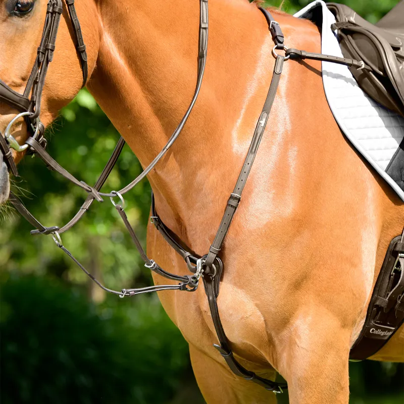 Collegiate ComFiTec Opulux 3-Point Padded Raised Breastplate - Brown