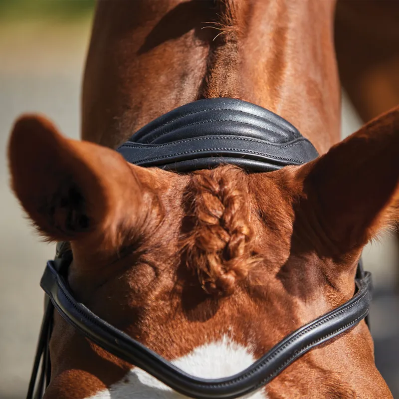 Collegiate ComFiTec Opulux Leather Grackle Bridle - Black-6