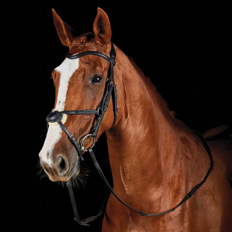 Collegiate ComFiTec Opulux Leather Grackle Bridle - Black-5