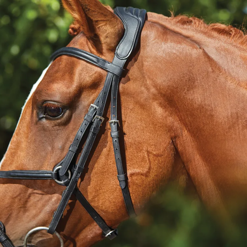 Collegiate ComFiTec Opulux Leather Grackle Bridle - Black-3