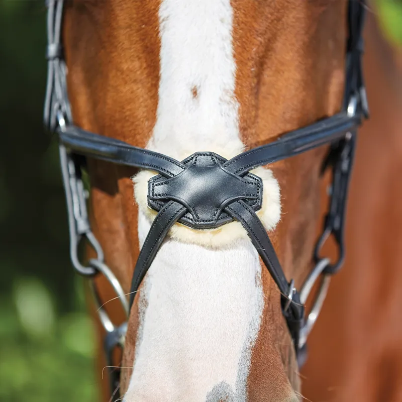 Collegiate ComFiTec Opulux Leather Grackle Bridle - Black-2