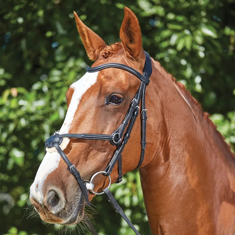 Collegiate ComFiTec Opulux Leather Grackle Bridle - Black-1