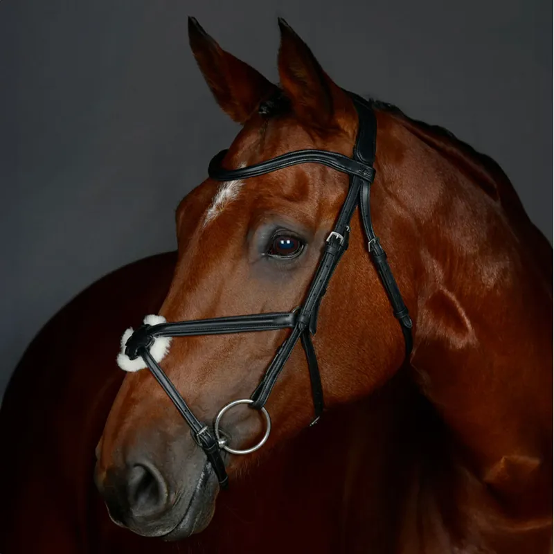 Collegiate ComFiTec Opulux Leather Grackle Bridle - Black