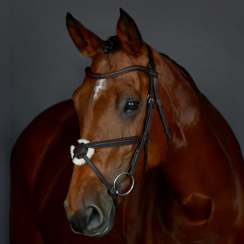 Collegiate ComFiTec Opulux Leather Grackle Bridle - Brown