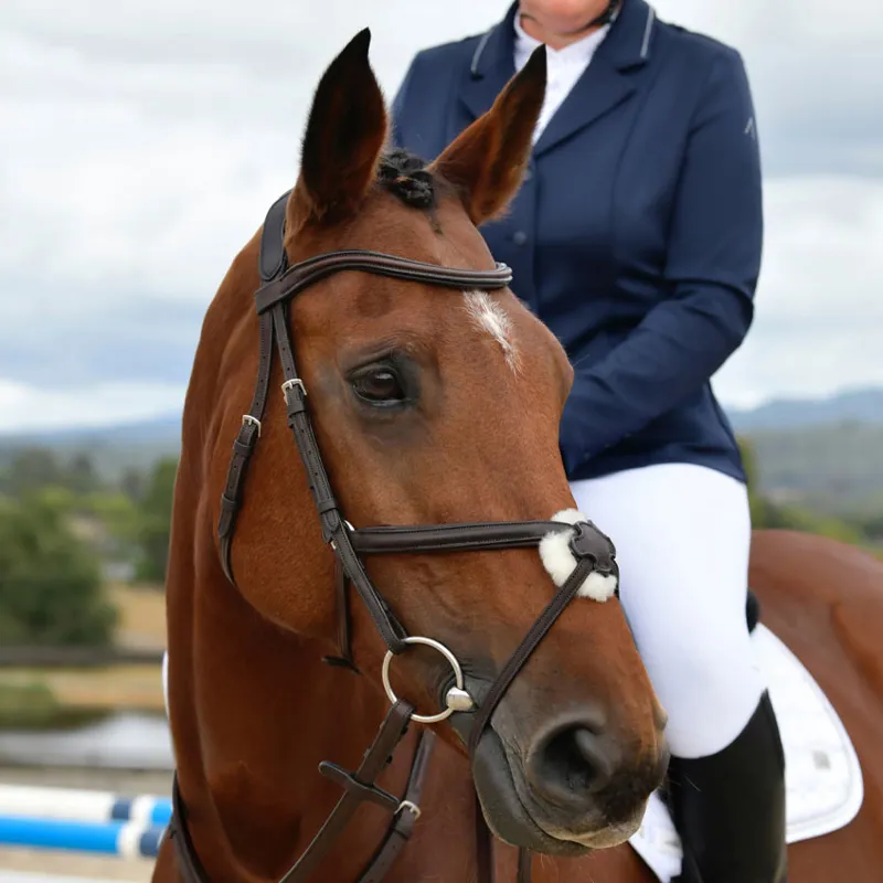 Collegiate ComFiTec Opulux Leather Grackle Bridle - Brown-1