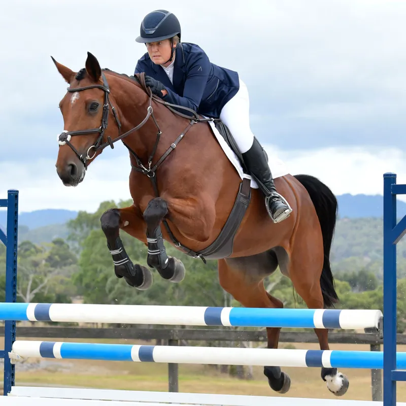 Collegiate ComFiTec Opulux Leather Grackle Bridle - Brown-4