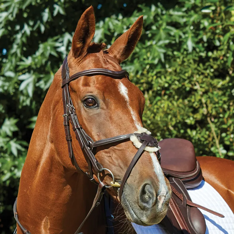 Collegiate ComFiTec Opulux Leather Grackle Bridle - Brown-3