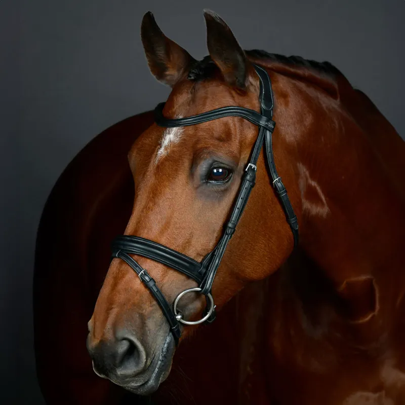 Collegiate ComFiTec Opulux Padded Hanoverian Flash Bridle - Black