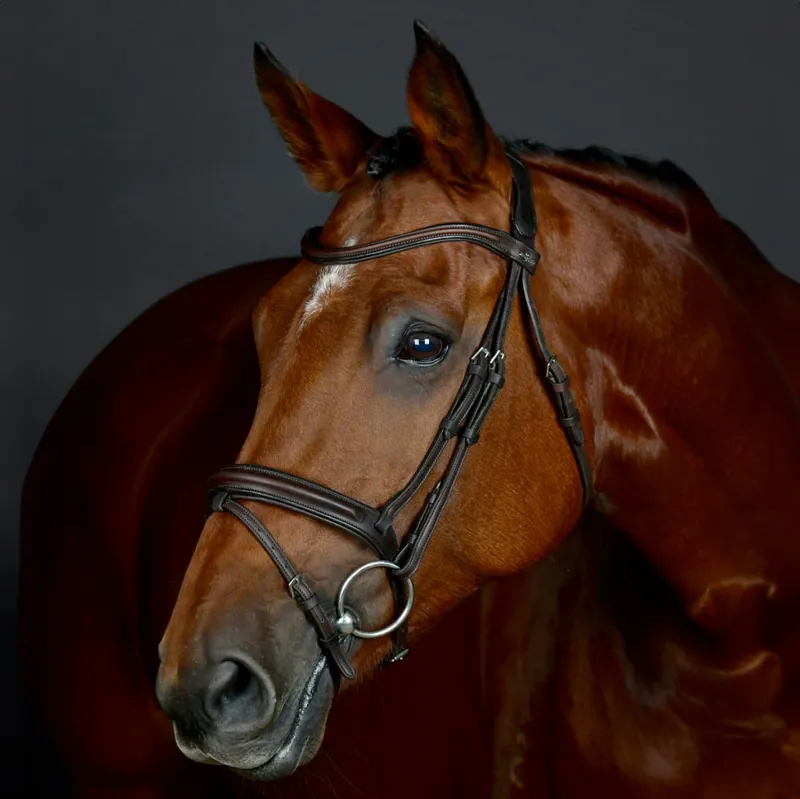Collegiate ComFiTec Opulux Padded Hanoverian Flash Bridle - Brown