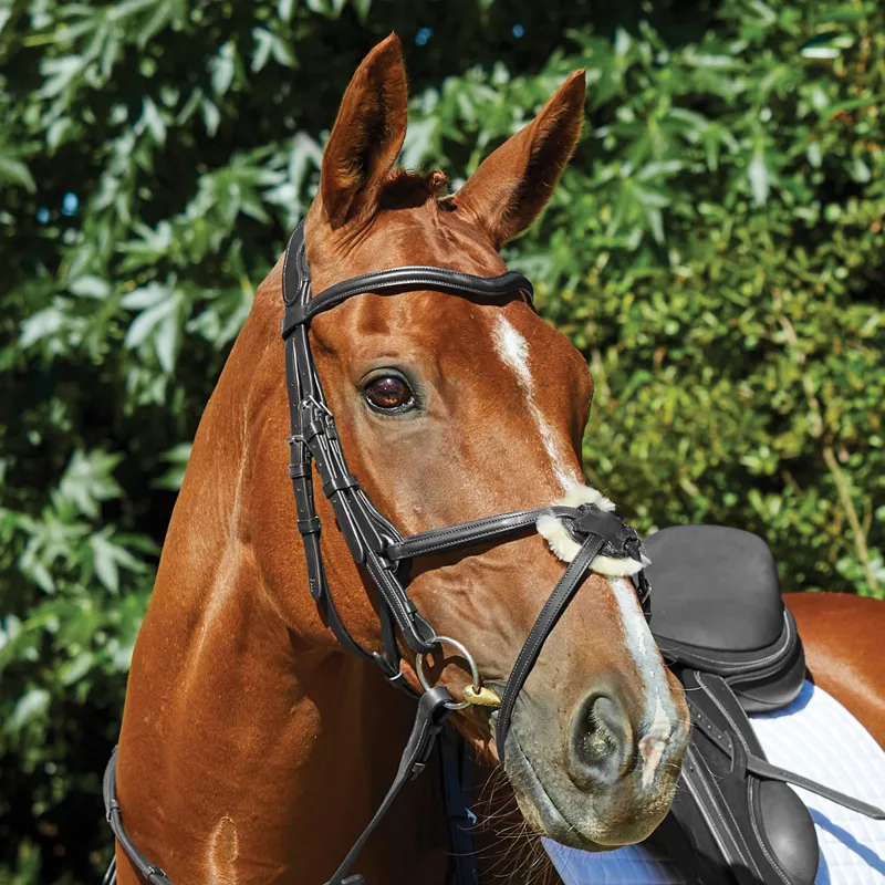 Collegiate ComFiTec Grackle Bridle - Black - TRIAL-2