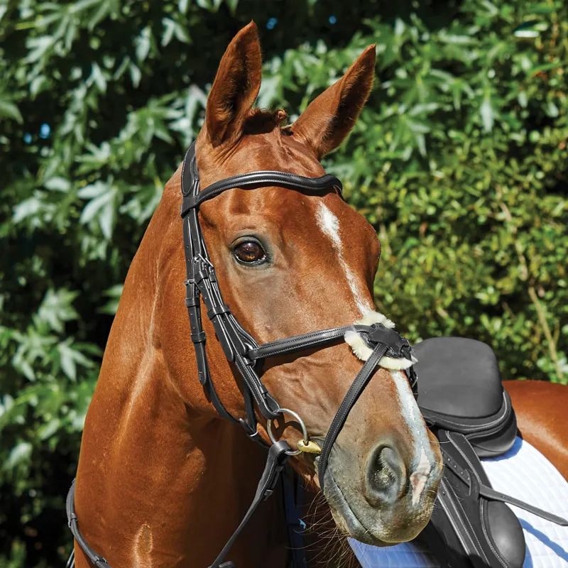 Collegiate ComFiTec Grackle Bridle - Black-1