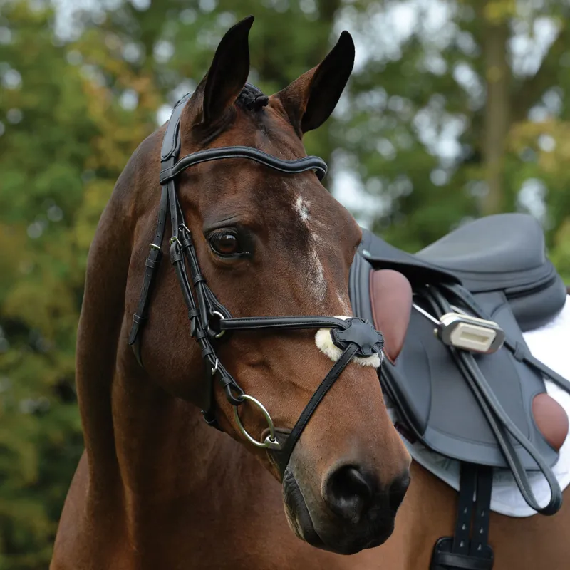 Collegiate ComFiTec Grackle Bridle - Black-2