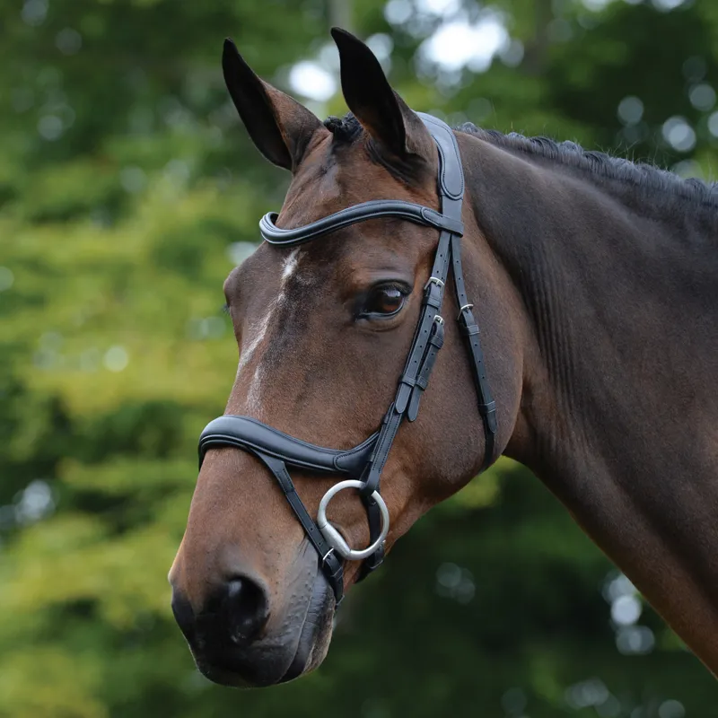 Collegiate ComFiTec Vogue Anatomical Bridle - Black