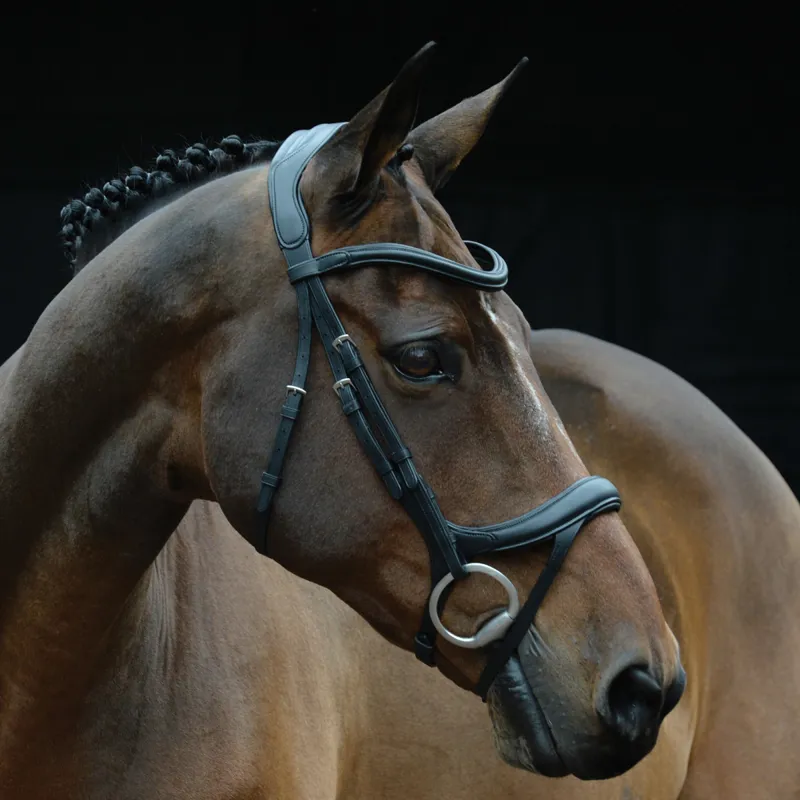 Collegiate ComFiTec Vogue Anatomical Bridle - Black-1