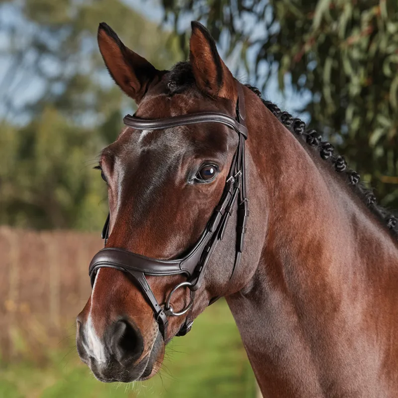 Collegiate ComFiTec Vogue Anatomical Bridle - Brown