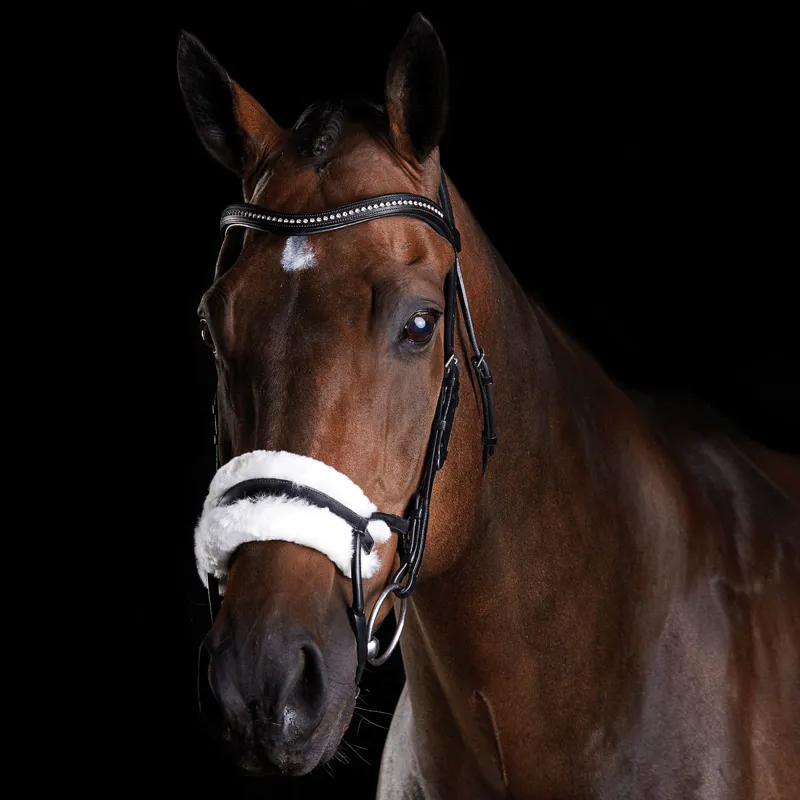 Collegiate ComFiTec Sheepskin Bridle - Black