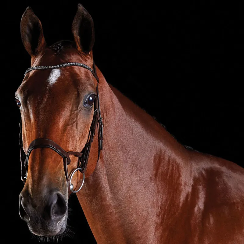 Collegiate ComFiTec Crystal Bridle - Brown