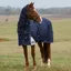 WeatherBeeta ComFiTec Ultra 220g Detach-A-Neck Turnout Rug - Navy