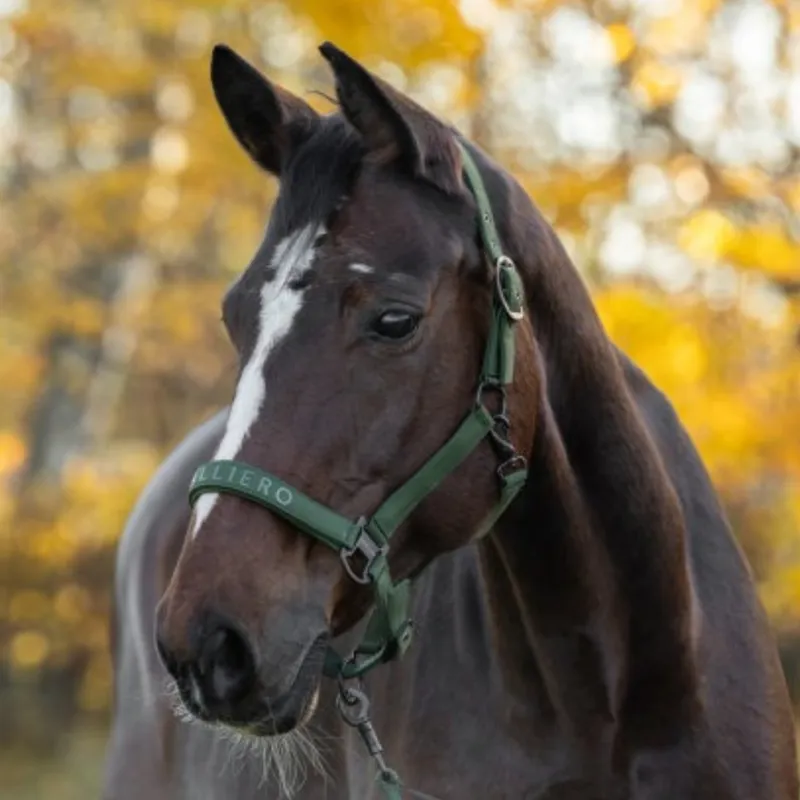 Covalliero Headcollar - Forest Green-1