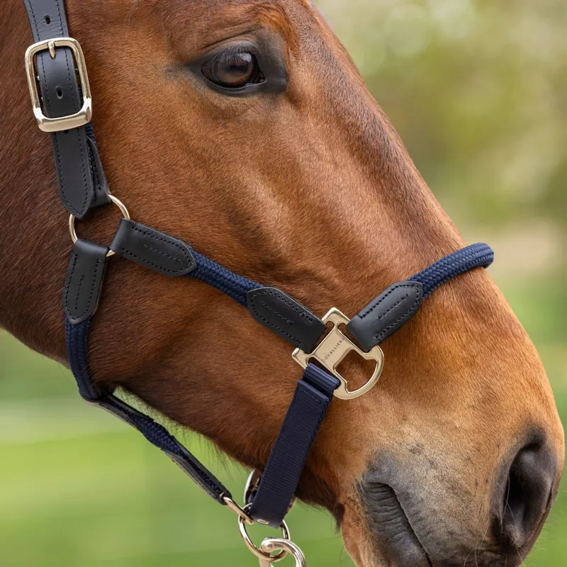 Covalliero Cordano Lux Headcollar - Dark Navy-2