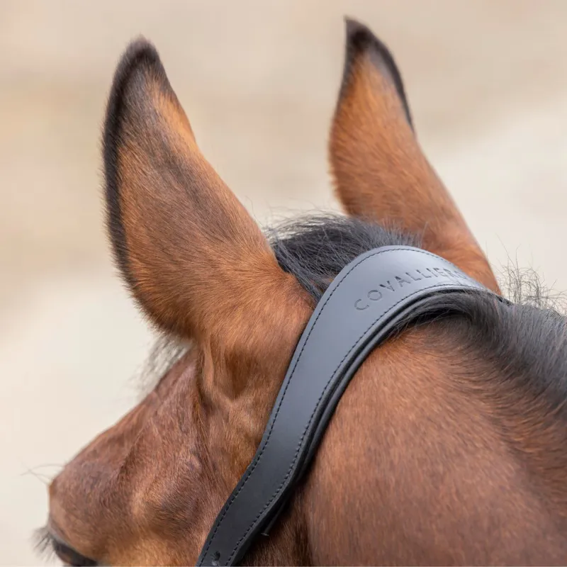 Covalliero Cordano Lux Headcollar - Dark Navy-3