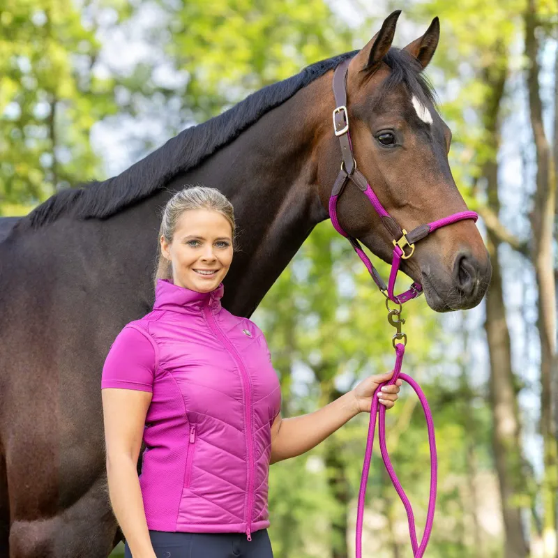 Covalliero Cordano Lux Headcollar - Light Berry-2