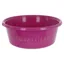 Covalliero Feed Bowl - Light Berry