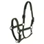Covalliero Headcollar - Forest Green