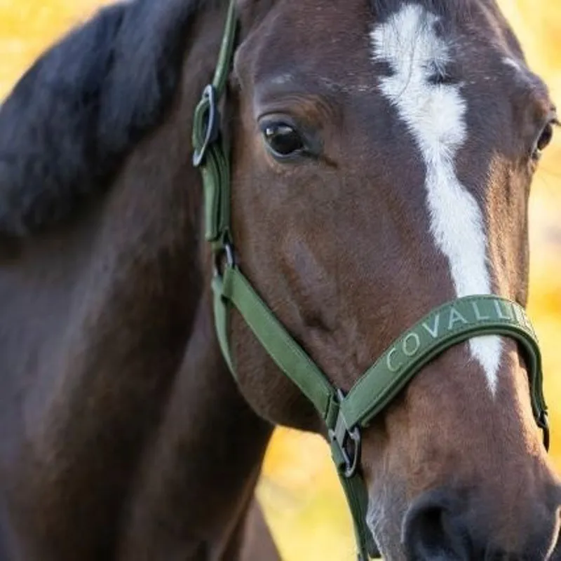 Covalliero Headcollar - Forest Green-4