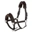 Covalliero Padded Headcollar - Coffee