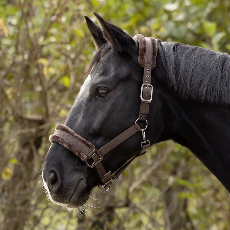 Covalliero Padded Headcollar - Coffee-3