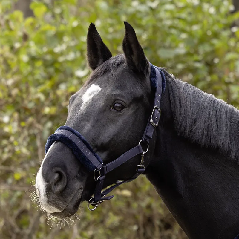 Covalliero Padded Headcollar - Dark Navy-3