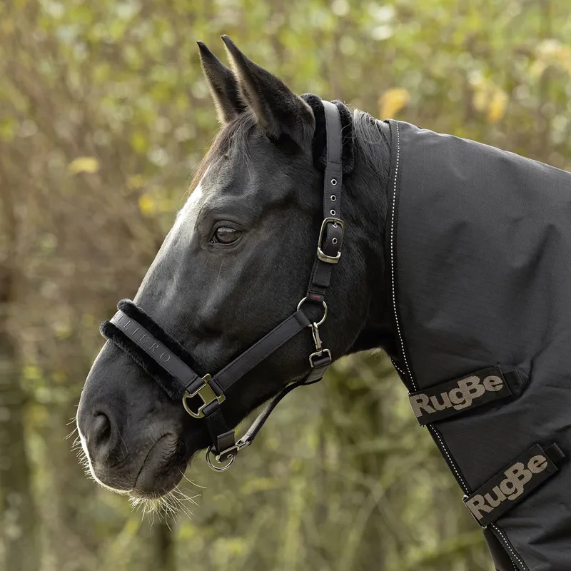 Covalliero Padded Headcollar - Black-3