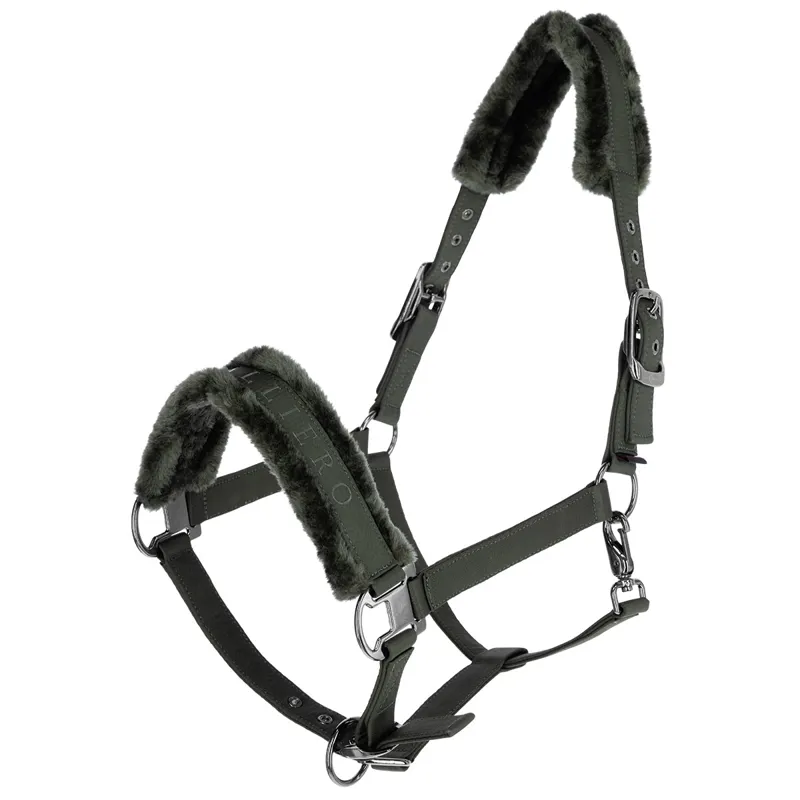 Covalliero Padded Headcollar - Opal Green