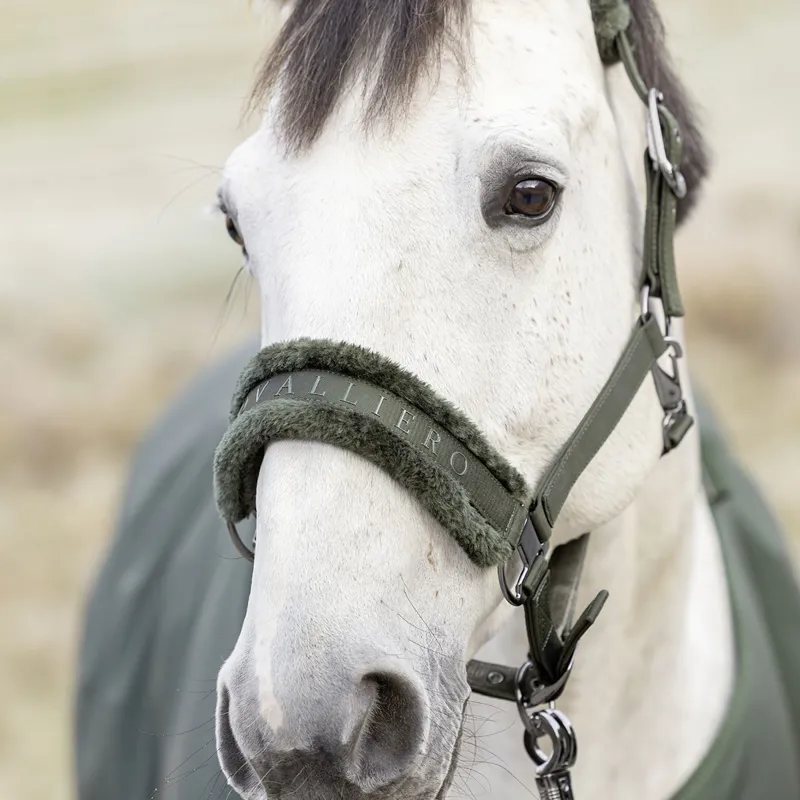 Covalliero Padded Headcollar - Opal Green-6