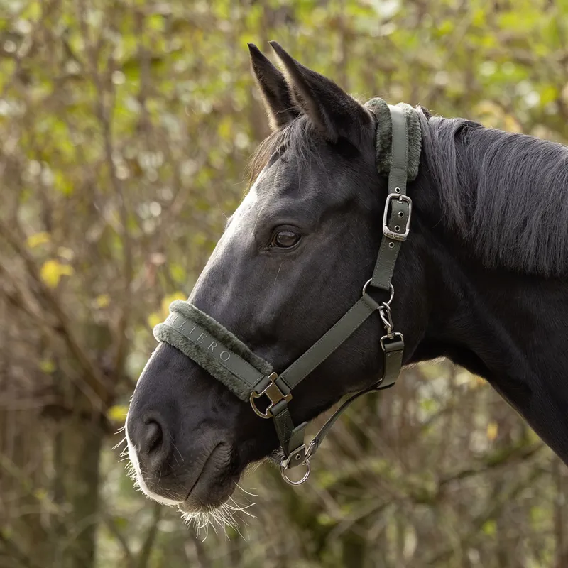 Covalliero Padded Headcollar - Opal Green-3