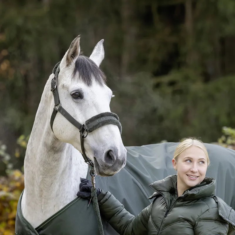 Covalliero Padded Headcollar - Opal Green-4
