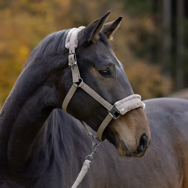 Covalliero Padded Headcollar - Taupe-6