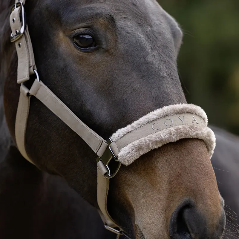 Covalliero Padded Headcollar - Taupe-4