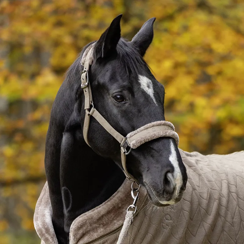 Covalliero Padded Headcollar - Taupe-5