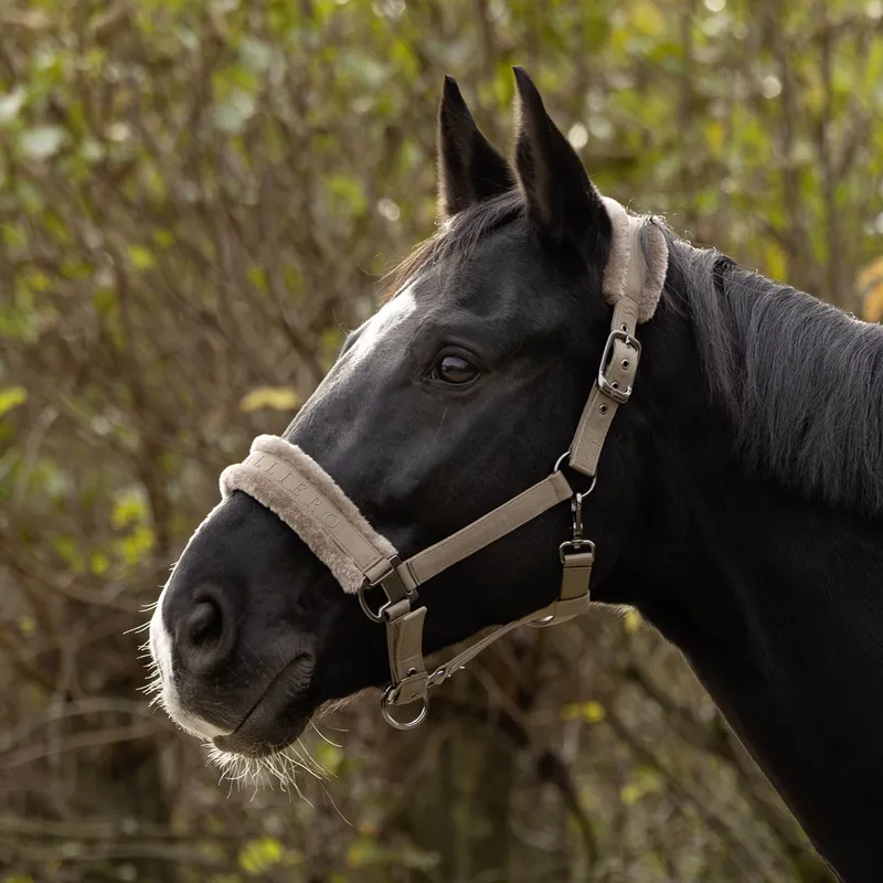 Covalliero Padded Headcollar - Taupe-3