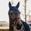 Kentucky Wellington Glitter Stone Fly Veil - Dark Navy