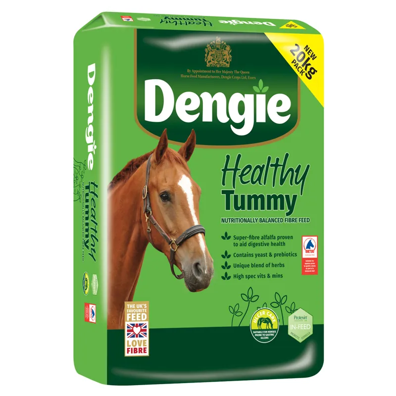 Dengie Healthy Tummy Complete Fibre Feed - 20kg