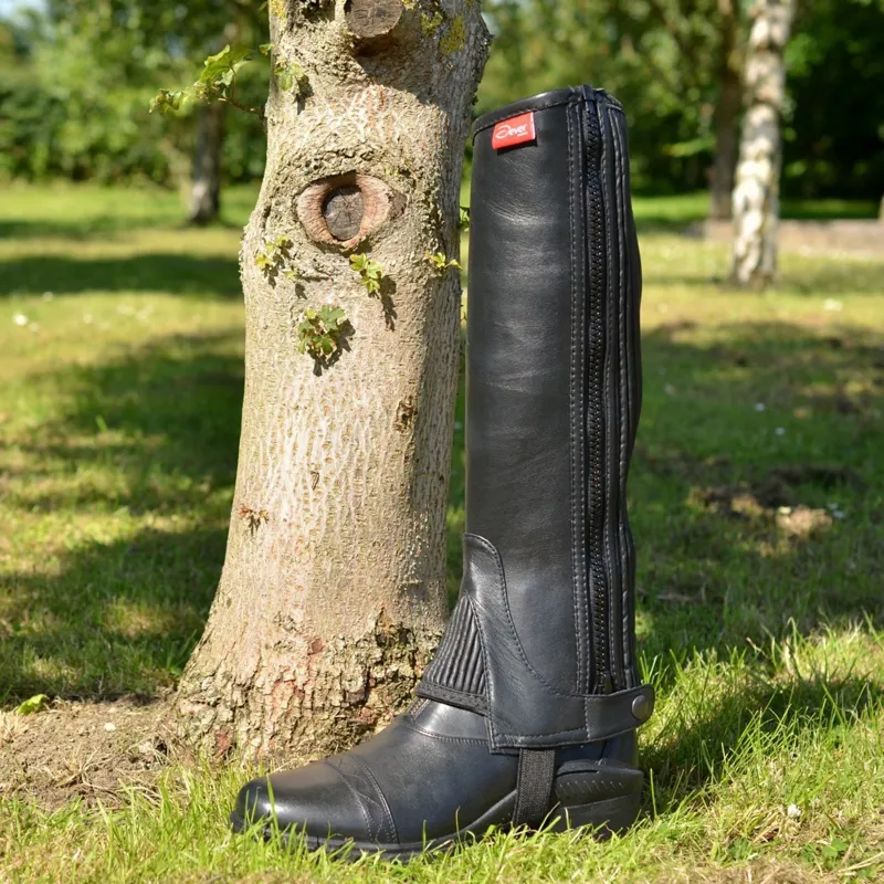 Dever Adult Unisex Leather Half Chaps - Black