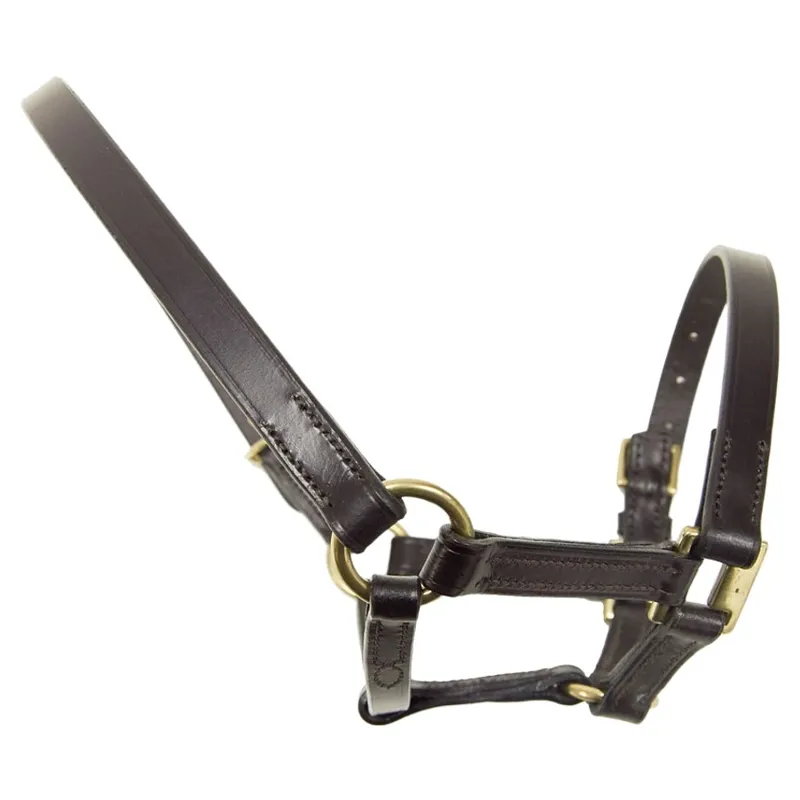 Dever Ascot Leather Foal Headcollar - Brown-1