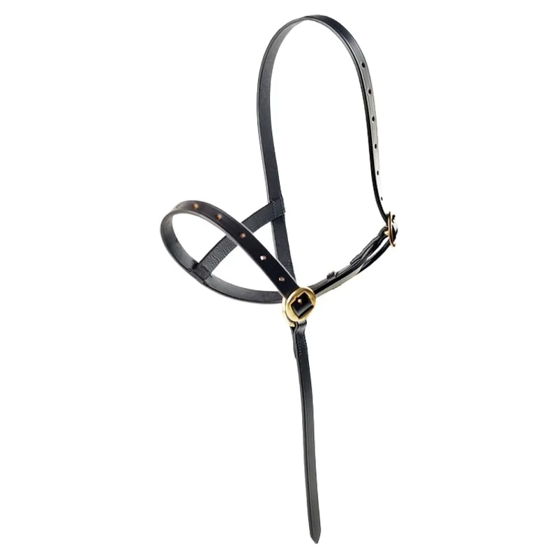 Dever Ascot Leather Foal Slip - Brown-3